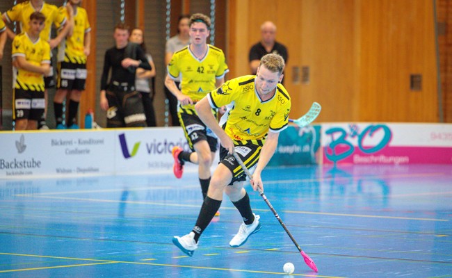 Gators mit erstem Saison-Heimspiel gegen die Vipers InnerSchwyz