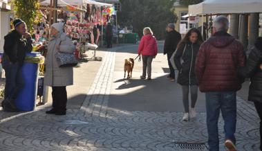 Einladender Martini Markt in Rheineck
