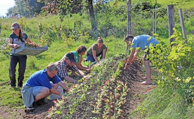 Nicht gegen die Natur arbeiten