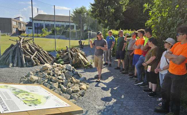 Ökologische Aufwertung: Ungenutzter Rasen wird zu Naturgarten