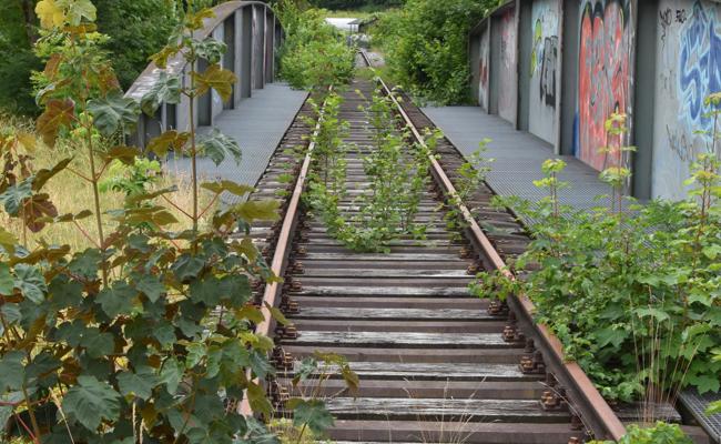 Garten: Alles hat Folgen