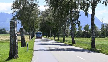 Kurioses am Strassenrand
