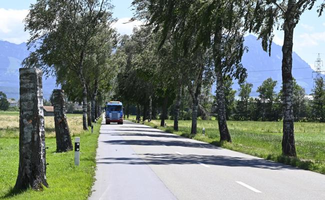 Kurioses am Strassenrand