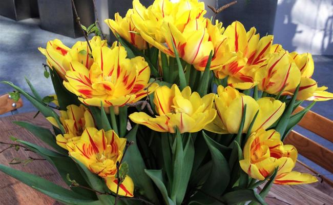 Garten: Zeichen der Freundschaft