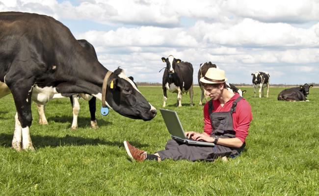 Öko-Software für Bauern gratis machen