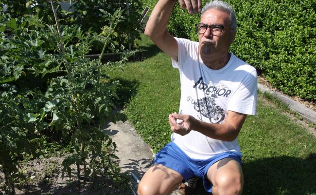 Eine Gartenkolonie braucht auch Regeln