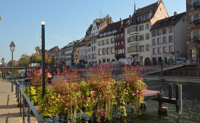 Auf den Spuren der Elsässer Kultur