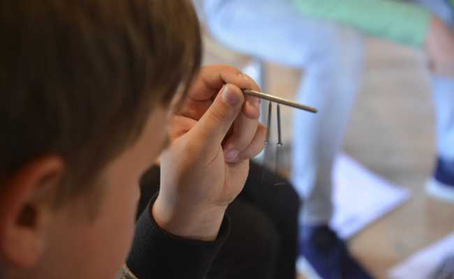 Neugierde der Kinder mit Naturwissenschaft wecken