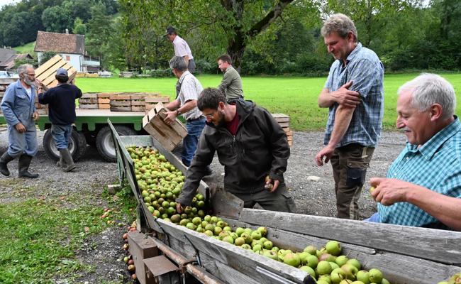 Obst verwerten statt verfaulen lassen
