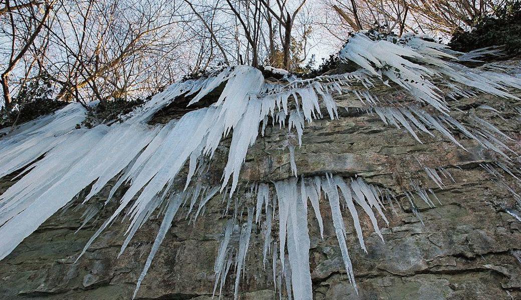 Sind die Temperaturen tief genug, so bilden sich am Sandstein des Schwalbenfelsens in Thal bis zu zehn Meter lange Eiszapfen. 