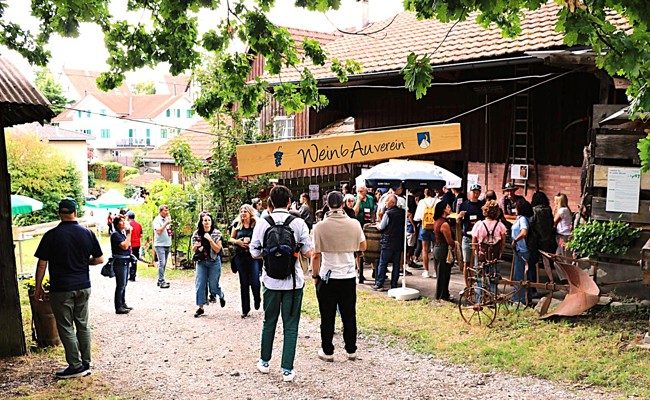 Der Wein gab den Takt vor bei der  «Monsteiner WyWa»