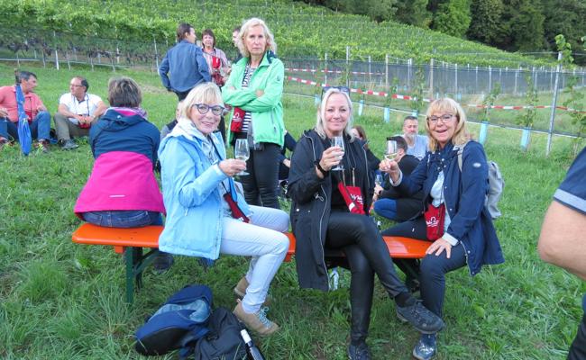 Die Auer Weinwanderung findet auch nächstes Jahr statt