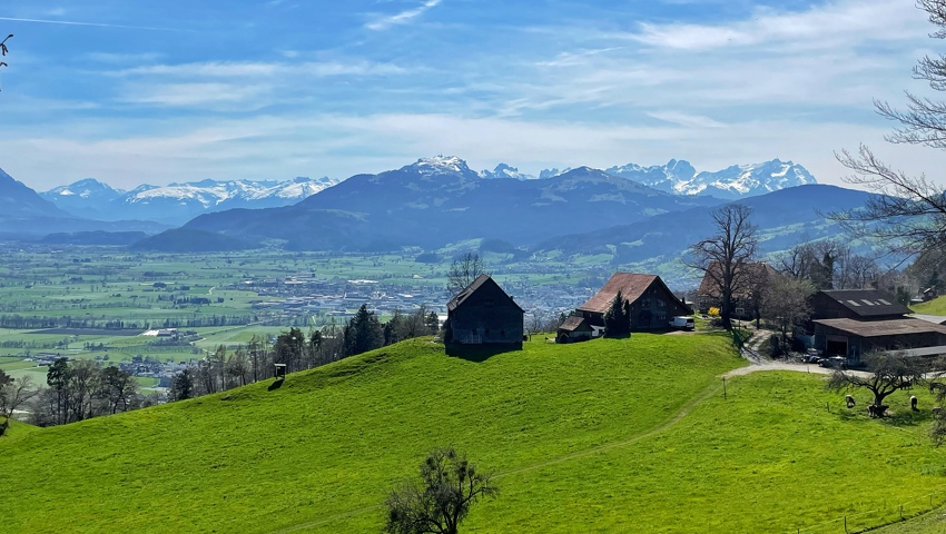 Auf der Wanderung von Balgach auf den St.Anton. Oberhalb Sturzenhard