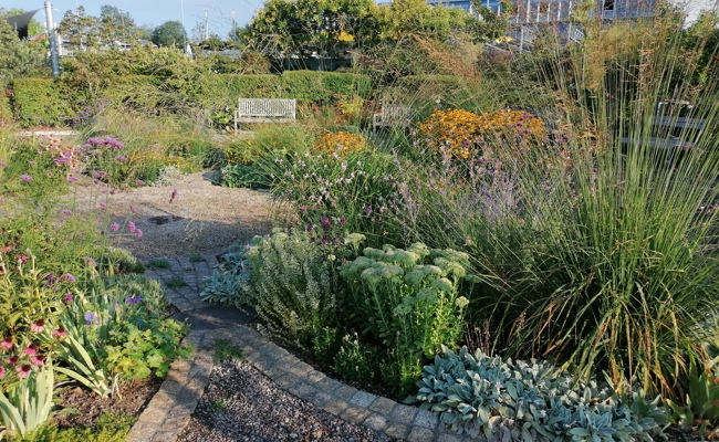Der Herbst bringt Farbe und Arbeit: So schützen Sie Ihren Garten vor Frost