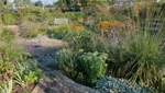 Der Herbst bringt Farbe und Arbeit: So schützen Sie Ihren Garten vor Frost