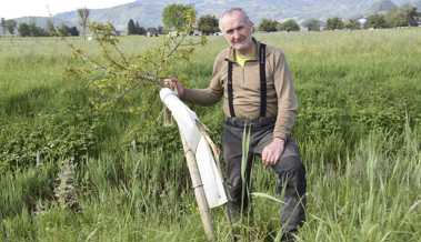 Zerstörte Jungbäume und zum Himmel stinkender Abfall in der Rheinebene