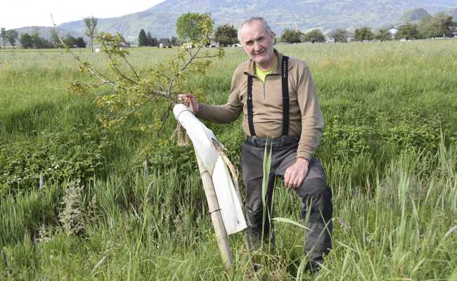 Zerstörte Jungbäume und zum Himmel stinkender Abfall in der Rheinebene