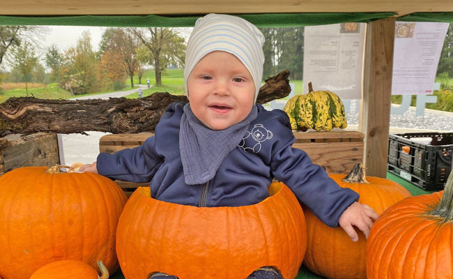 Gruselig, lustig und kreativ: So sehen eure Halloween-Kürbisse aus