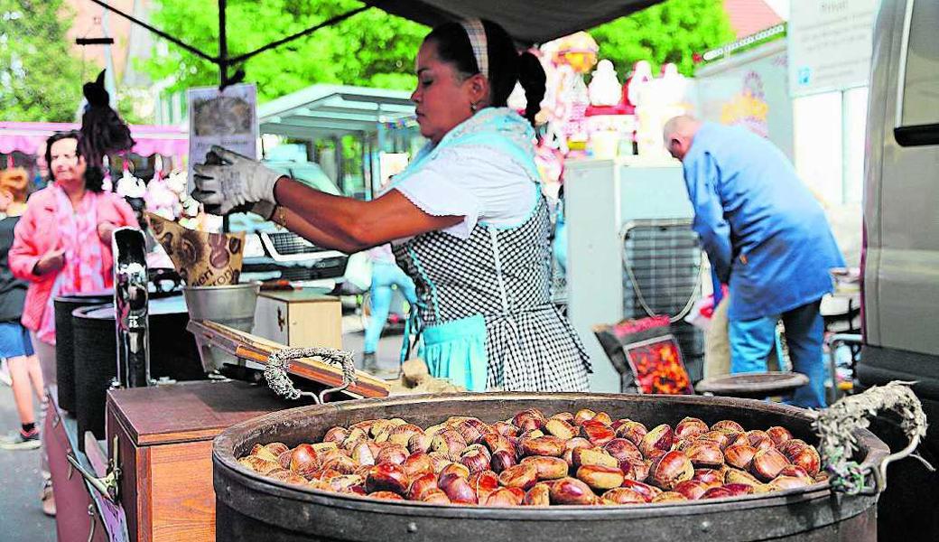 Die Marroni-Saison geht los.