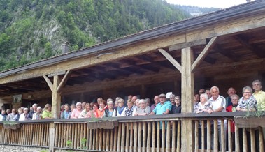 Eine Reise durch die Alpen