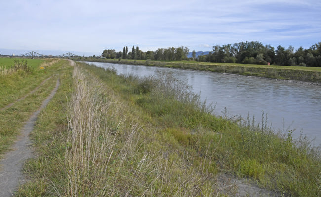 Neues Brückenprojekt in Arbeit: Zu Fuss und mit dem Velo schneller über den Rhein ins Naturschutzgebiet
