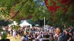 Ein Sommerabend im lauschigen Park voller Musik und Genuss
