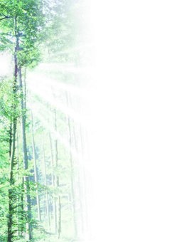 Wald