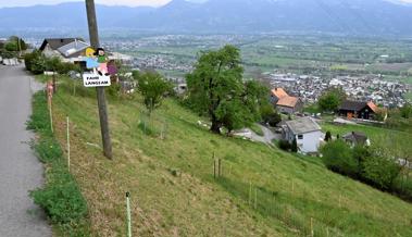 Stichwort: Mohren & Arsch