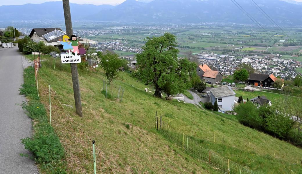 Der Blick von Mohren ins Rheintal herab.