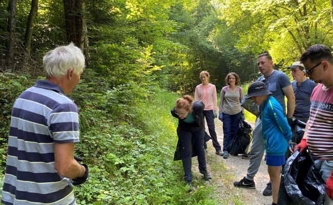 Freiwillige jagten Neophyten nach