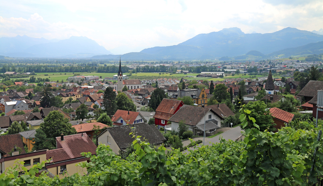 Guter Steuerabschluss: Nachzahlungen fielen höher aus als budgetiert