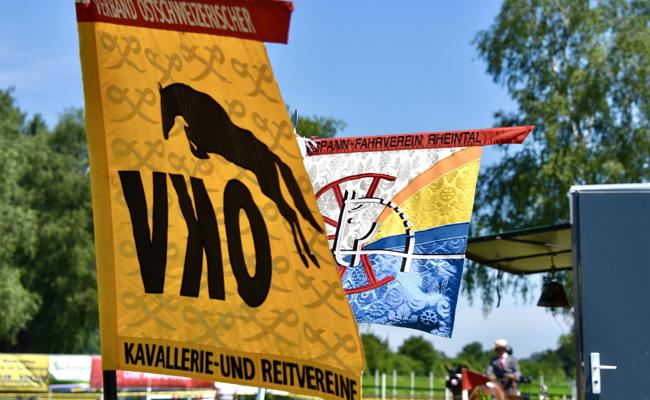 25 Bilder von den Rheintaler Fahrsporttagen