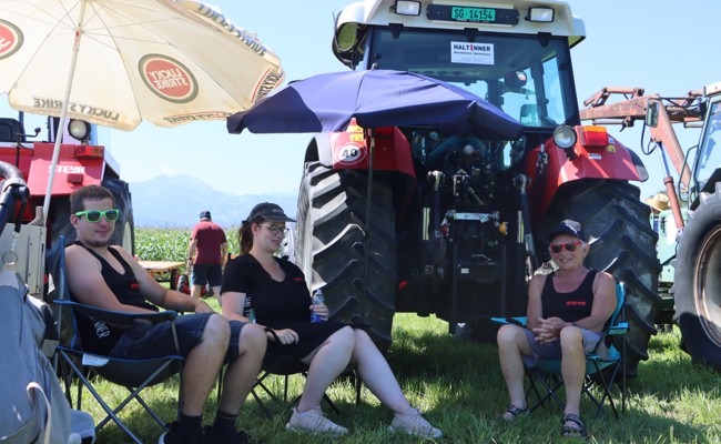 Sommer, Sonne, Traktor: Oldtimer lockten zum Maislabyrinth