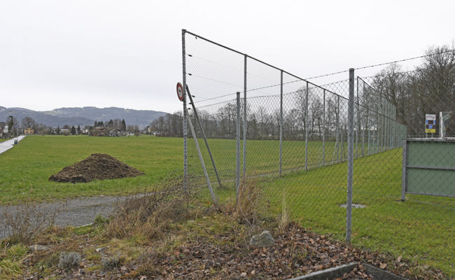 Die Gemeinde erwägt, neben dem Sportplatz Rheinauen eine Skills-Hall für Jugendliche zu bauen
