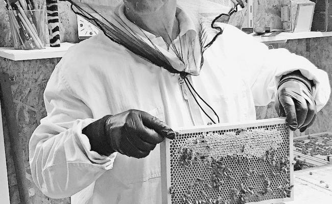 In die Welt der Bienen eingetaucht