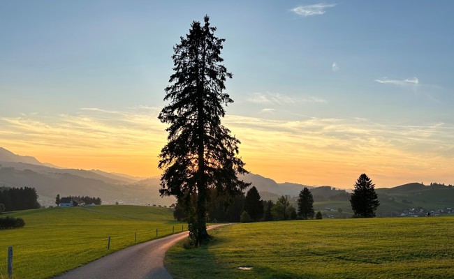 Eine Friedenskonferenz für die Seele