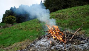 Waldbrandgefahr steigt