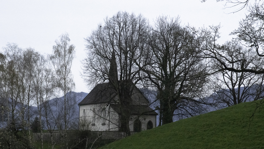 Abendspaziergang am Ostermontag über den Altstätter Forst.