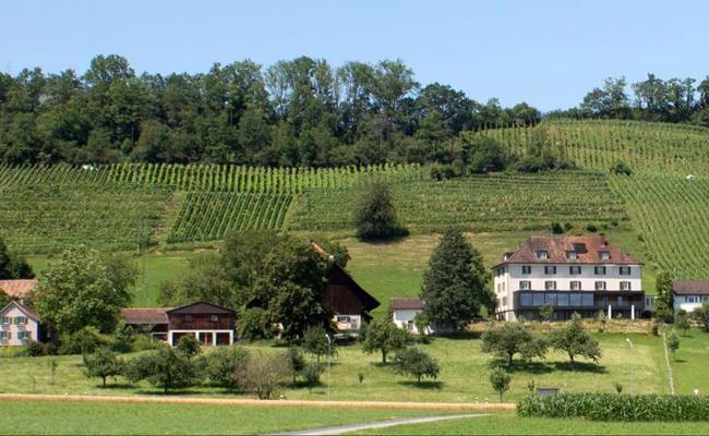 "Gutshof Forst": Vertrag unterzeichnet