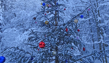 Leserbild: Ein besondere Stimmung zum 1. Advent