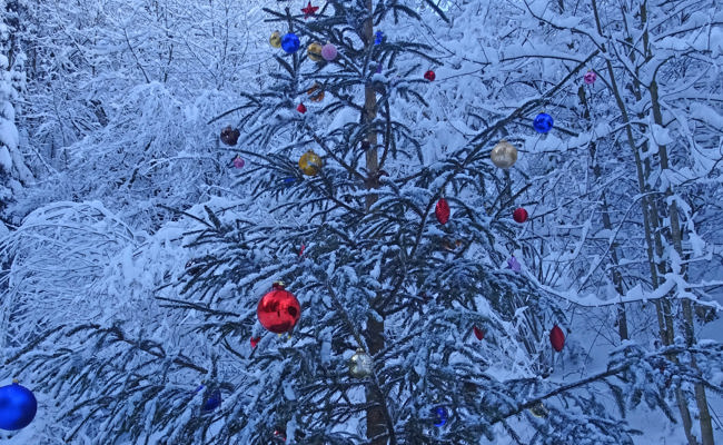 Leserbild: Ein besondere Stimmung zum 1. Advent