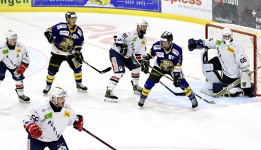 Formstarker SC Rheintal empfängt die Bären aus Herisau zum Derby