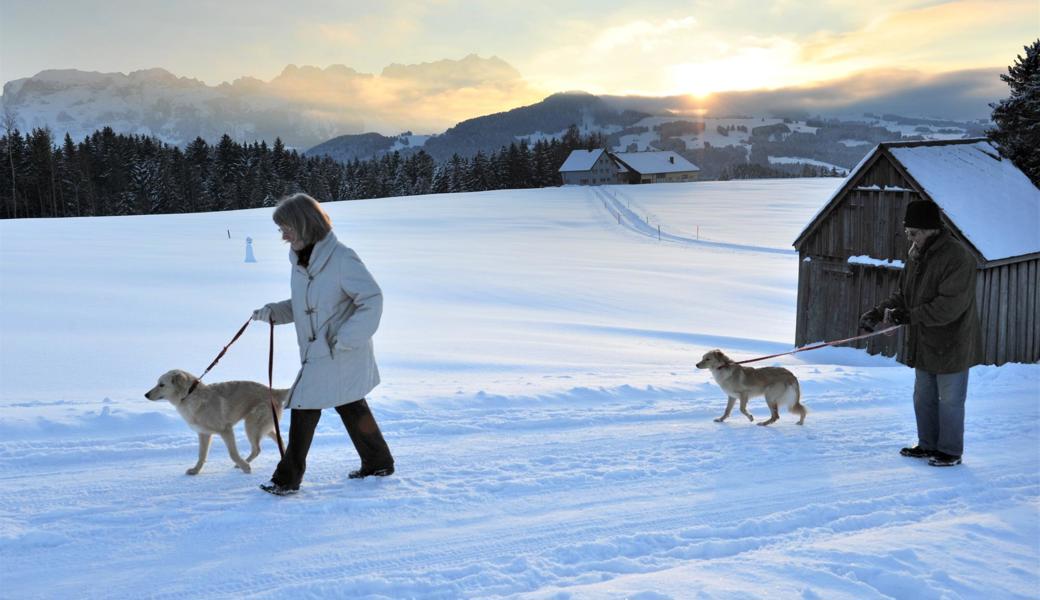 Ein Fixpunkt im Alltag, wie der Spaziergang mit dem Hund, hilft, die Lage zu meistern.