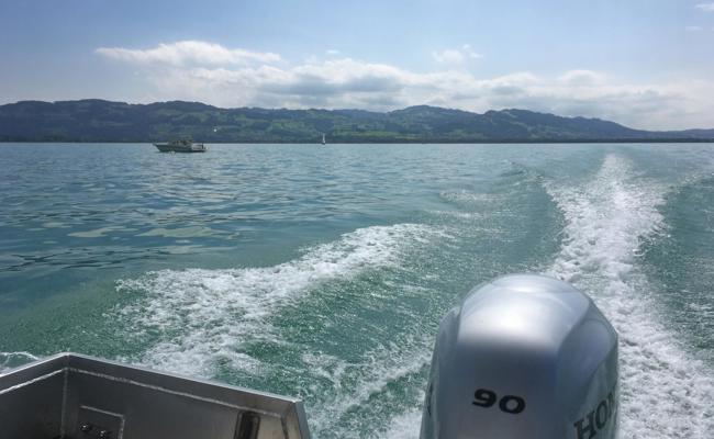 Einsam auf dem dicht belegten See