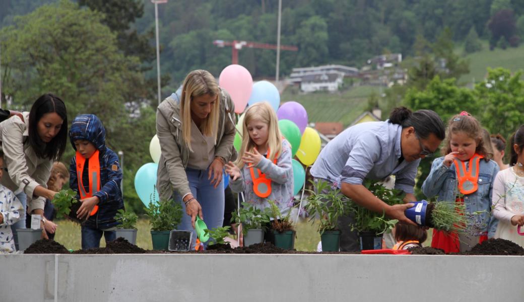 Die Kinder durften im Hochbeet zum Eingang Pflanzen setzen.