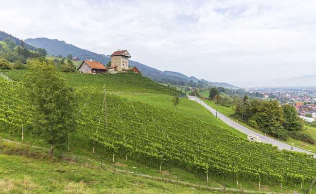 Wieder 1.-August-Brunch auf der Burg Neu-Altstätten