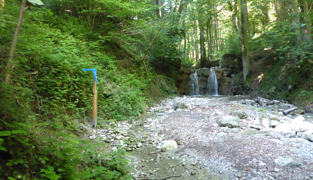 Der Tobelbach führt durch den Waldpark oberhalb der Heidenerstrasse.