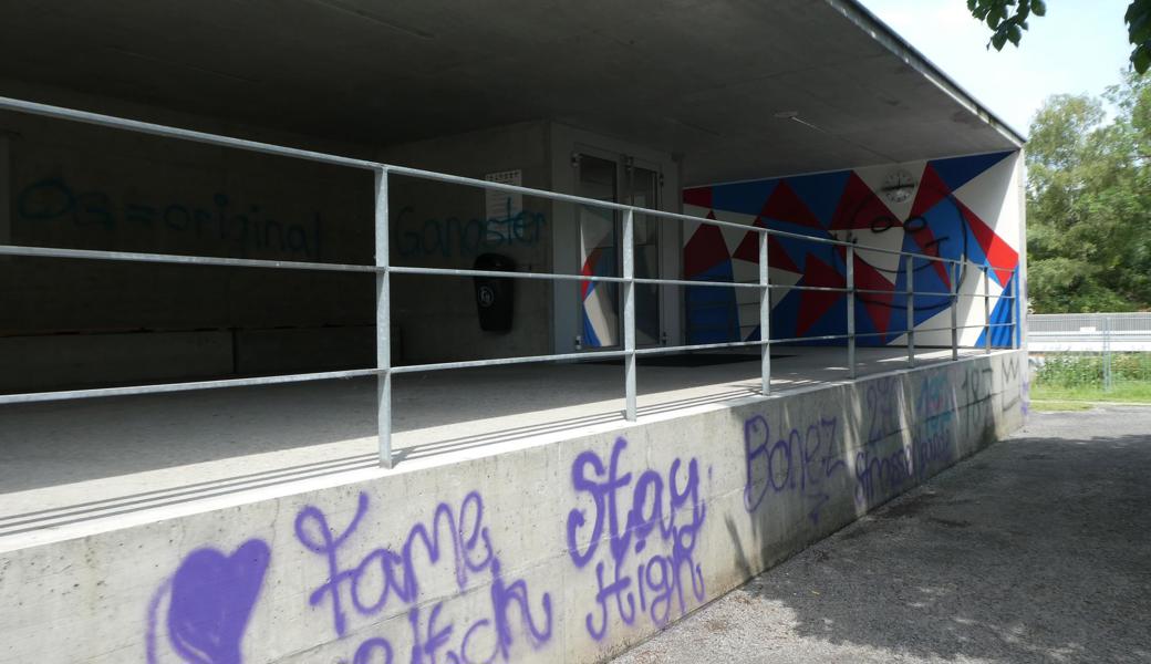 Das Entfernen der Schmierereien kostet einige tausend Franken.