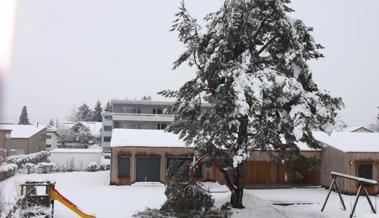 Gefährlicher Baum wurde gefällt
