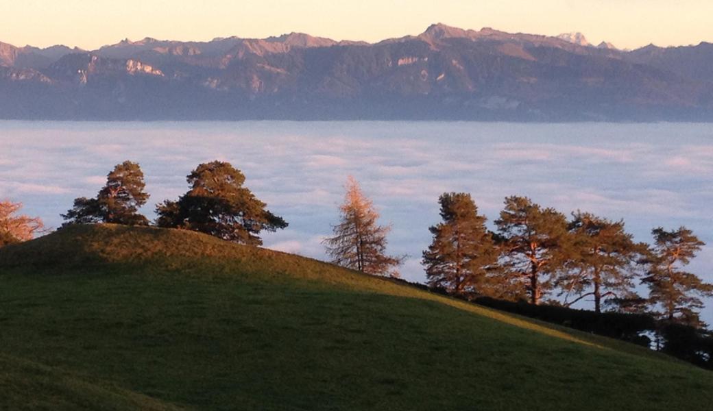 Blick Richtung Vorarlberg